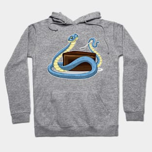 Snake Birthday Cake Hoodie